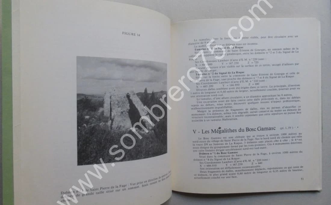 Ensemble Megalithique de Saint Pierre de la Fage. G. B. ARNAL. T 2 - Image 6