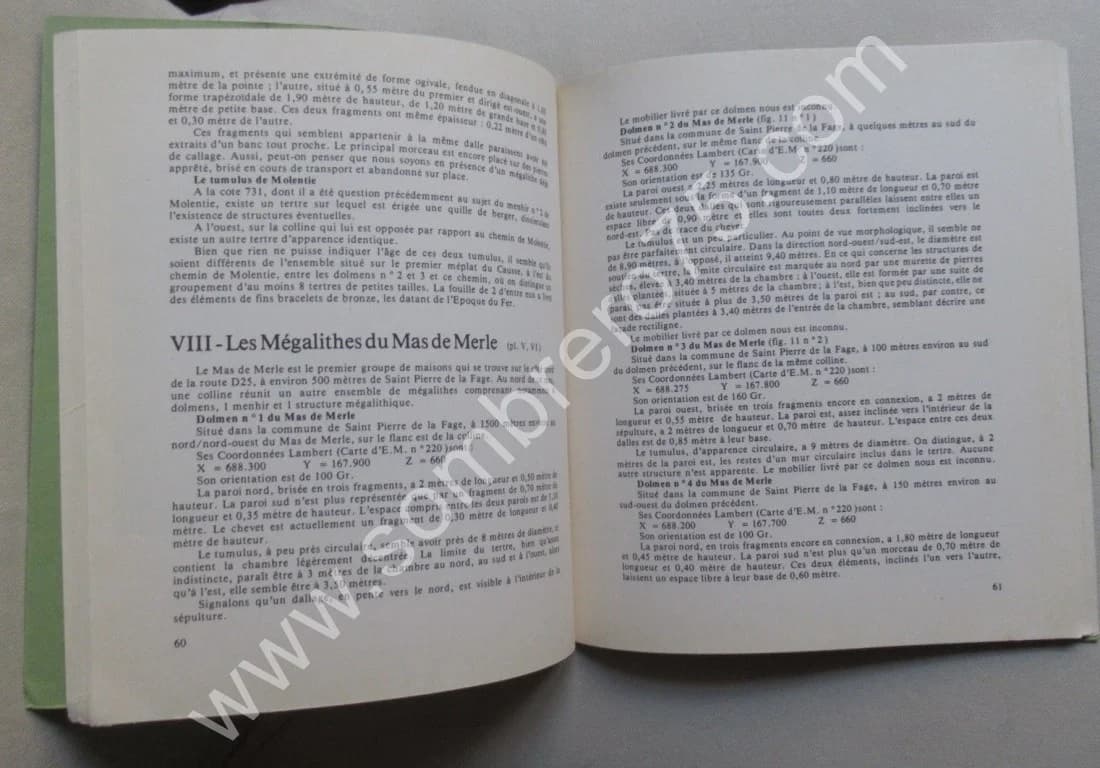 Ensemble Megalithique de Saint Pierre de la Fage. G. B. ARNAL. T 2 - Image 7