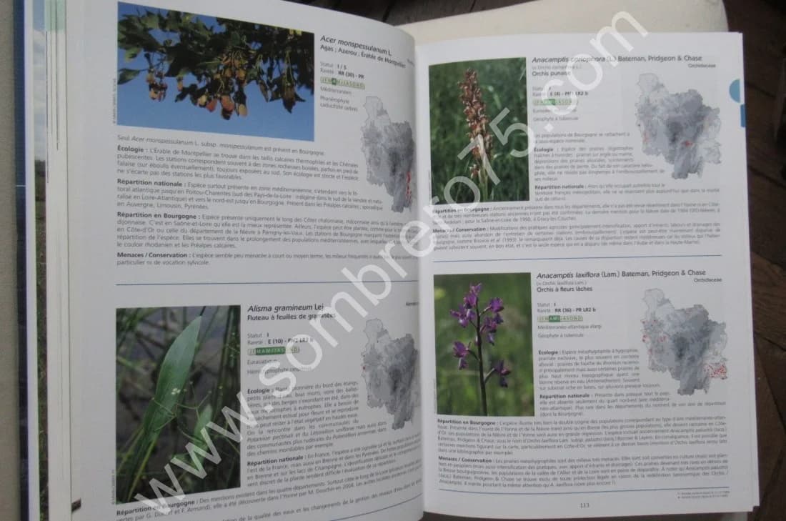 Atlas de la Flore Sauvage de Bourgogne - Image 4