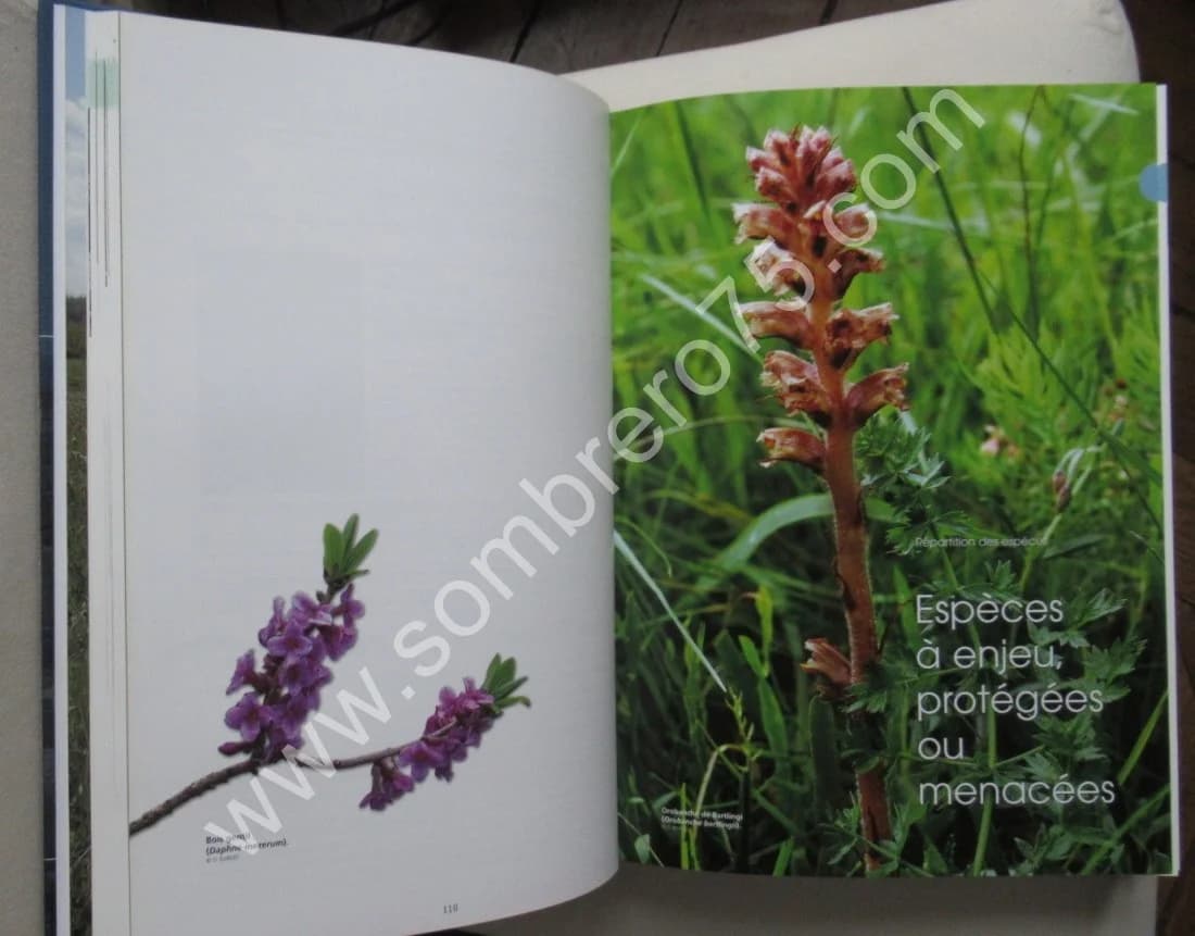Atlas de la Flore Sauvage de Bourgogne - Image 5