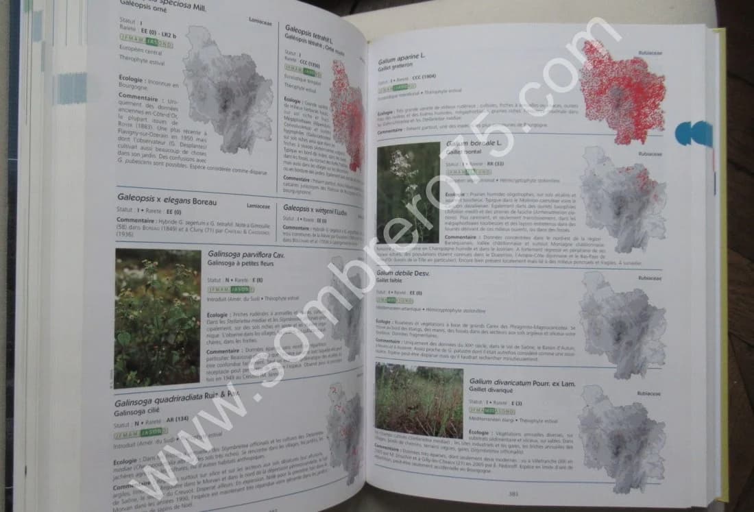 Atlas de la Flore Sauvage de Bourgogne - Image 6