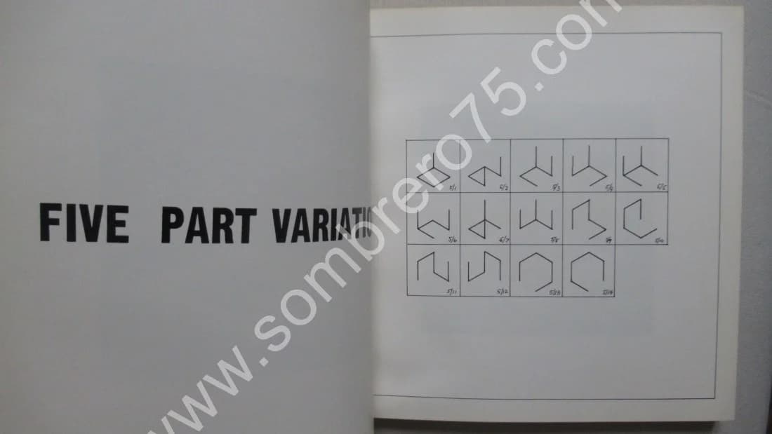 Incomplete Open Cubes. Sol LEWITT. New York 1974 - Image 7