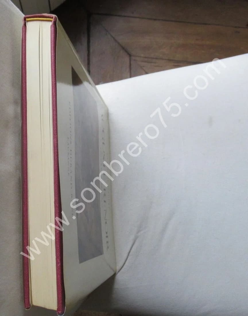 Auguste Renoir Catalogue Raisonné Oeuvre Peint. I - Figures (1860-1890) - Image 11