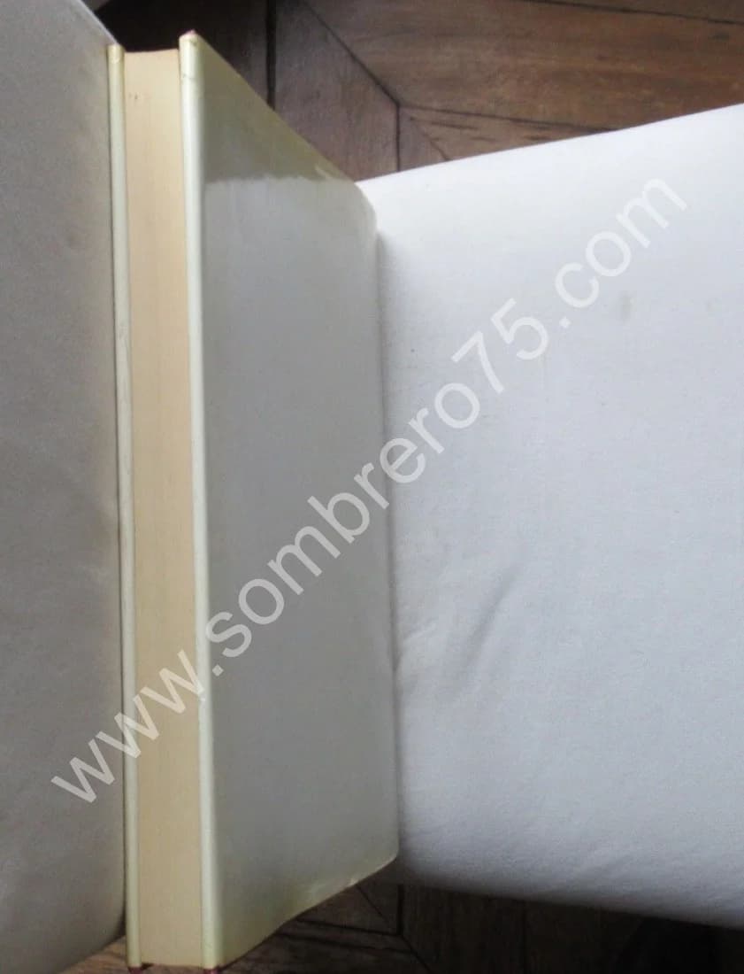 Auguste Renoir Catalogue Raisonné Oeuvre Peint. I - Figures (1860-1890) - Image 12