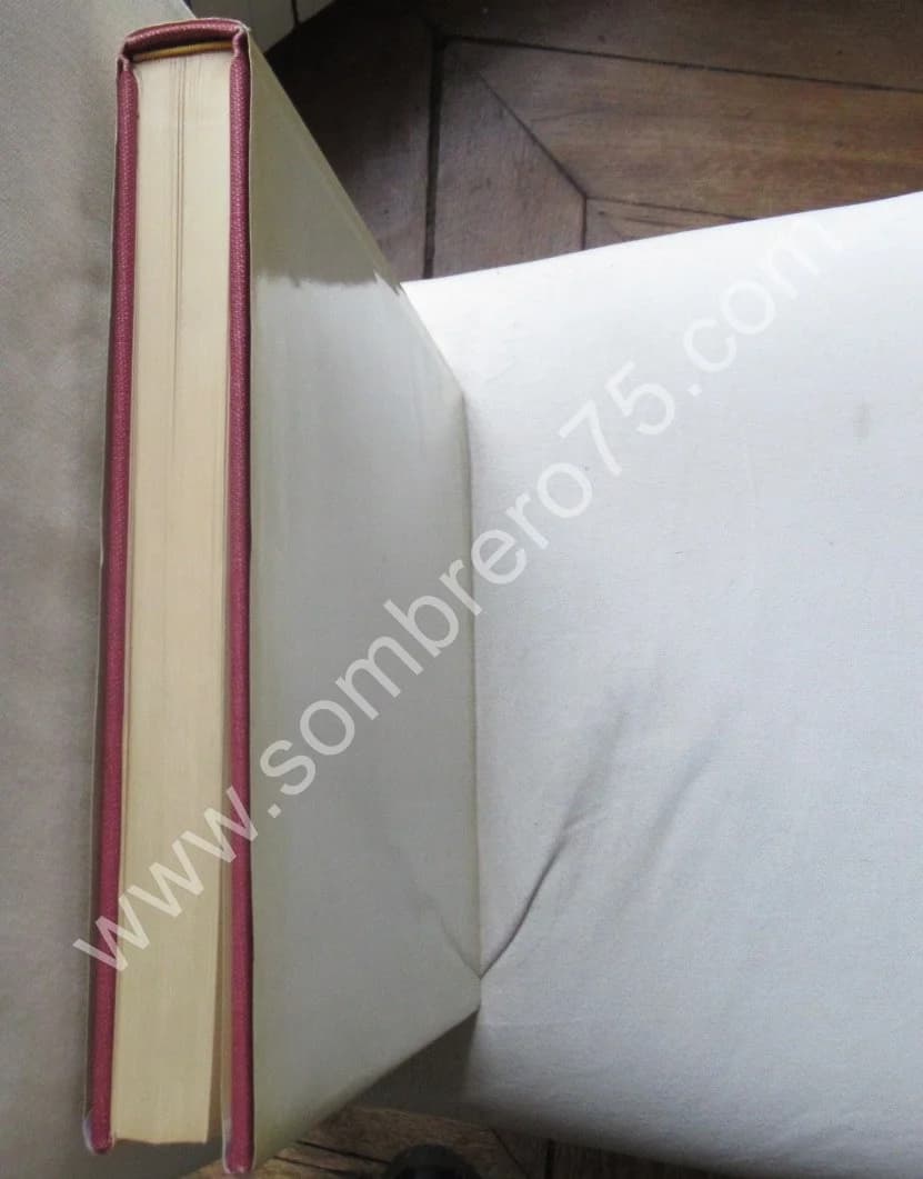 Auguste Renoir Catalogue Raisonné Oeuvre Peint. I - Figures (1860-1890) - Image 10