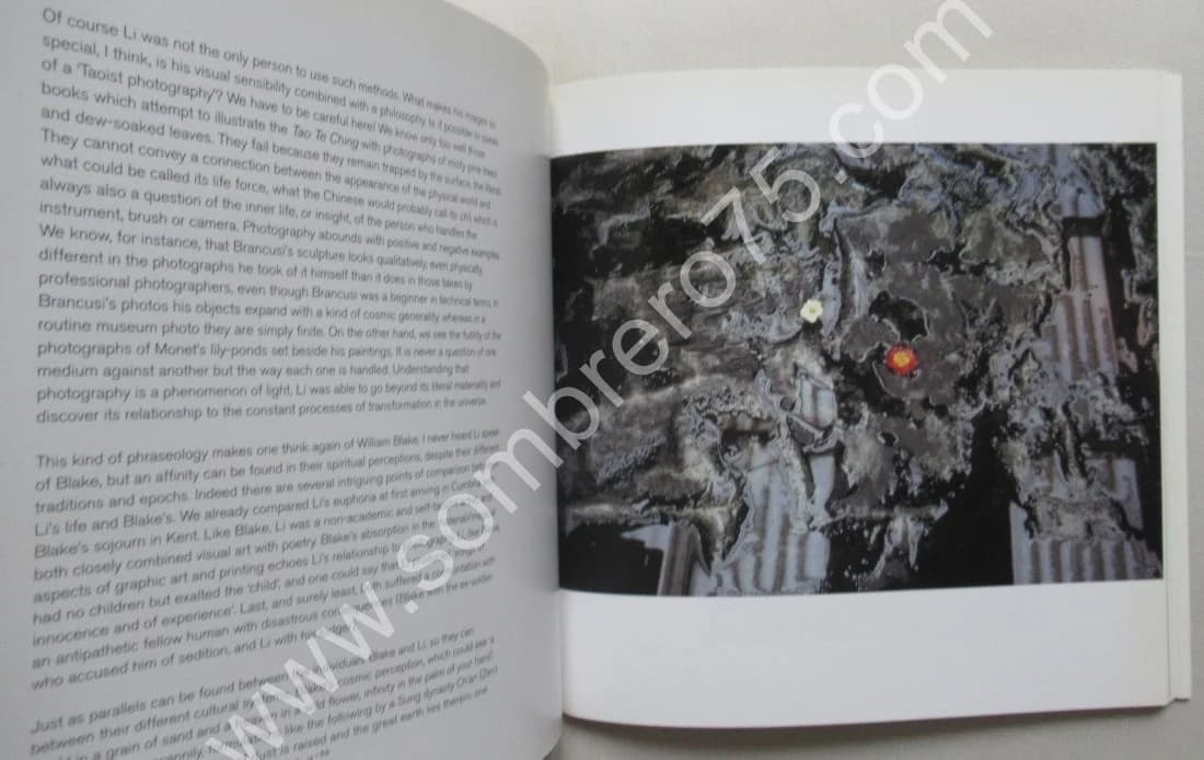 Li Yuan-chia - Tell me what is not yet said - Image 6