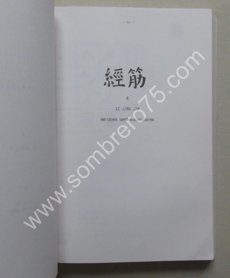 La Théorie des Jing Luo. Etude sémantique du système méridien Ph LAURENT - Image 4
