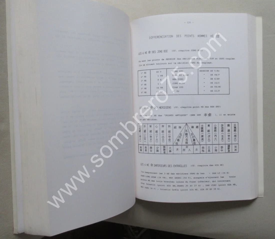 La Théorie des Jing Luo. Etude sémantique du système méridien Ph LAURENT - Image 5