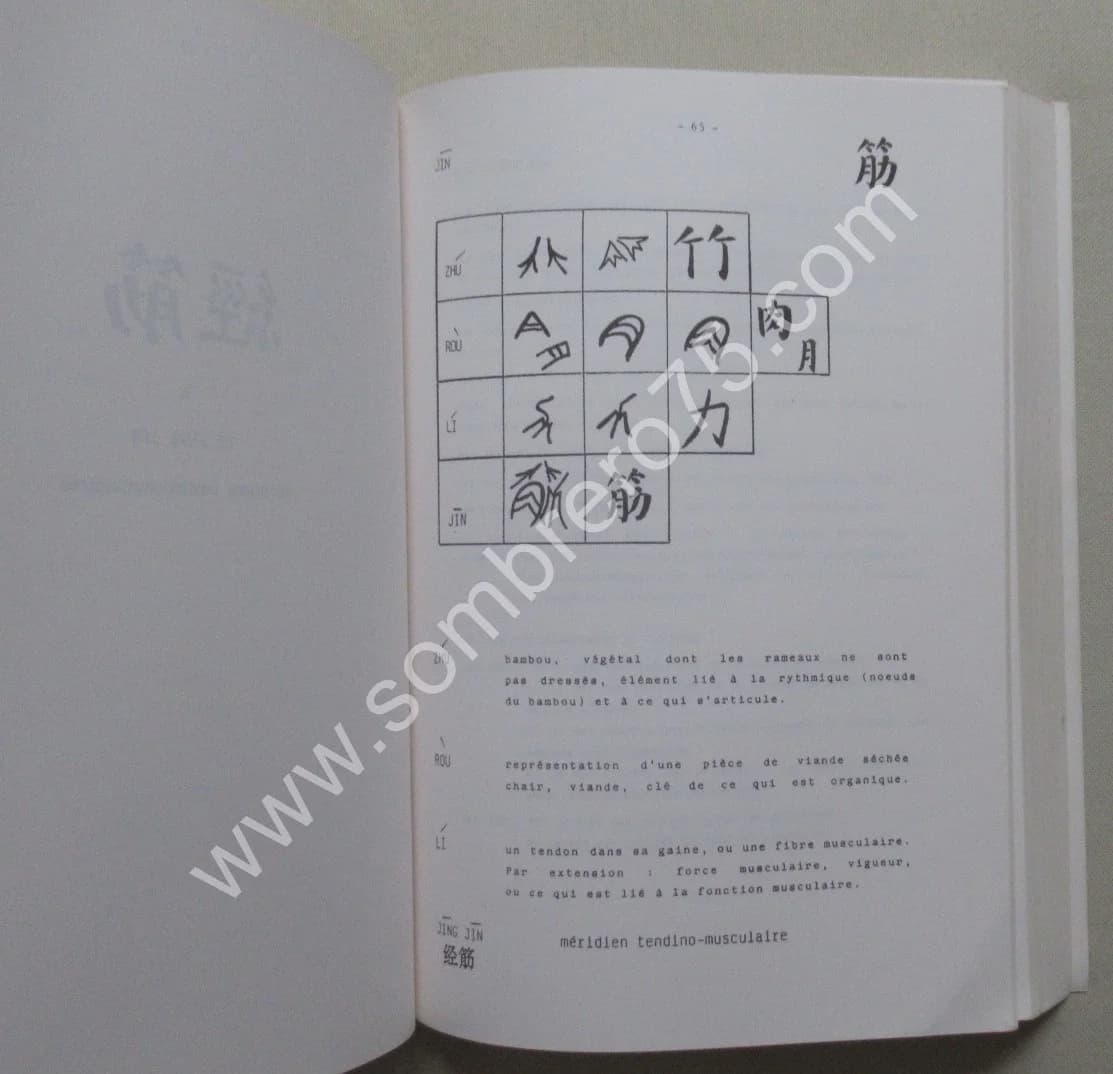 La Théorie des Jing Luo. Etude sémantique du système méridien Ph LAURENT - Image 6