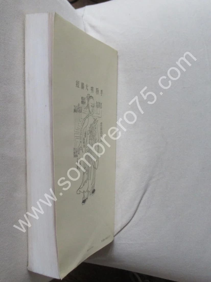 La Théorie des Jing Luo. Etude sémantique du système méridien Ph LAURENT - Image 9