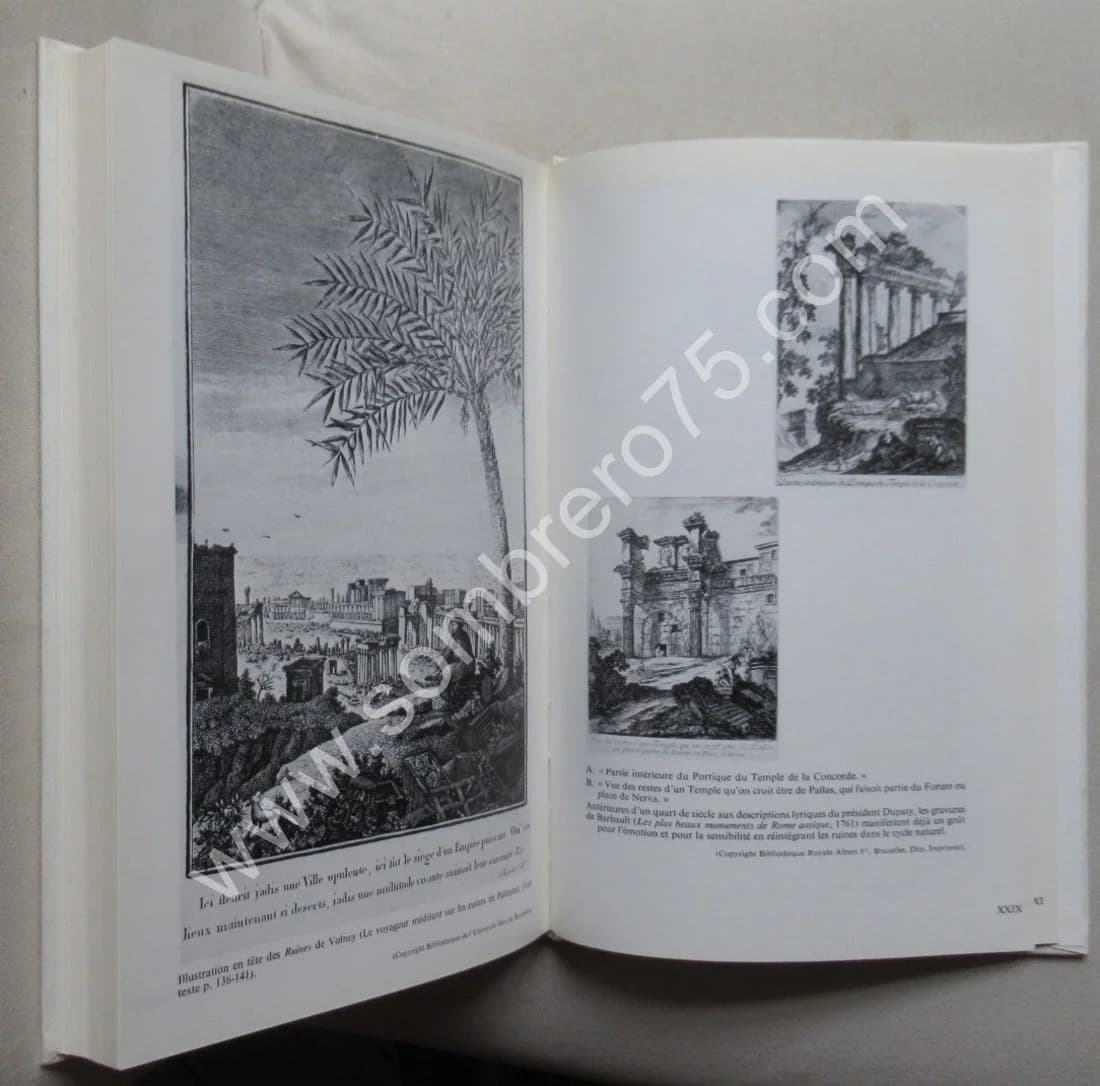 La Poétique des Ruines en France - Image 3