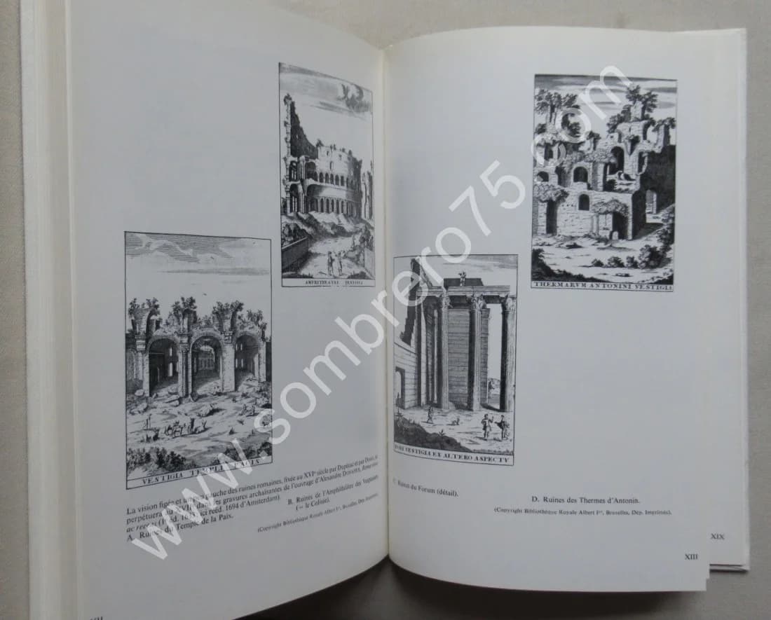 La Poétique des Ruines en France - Image 4