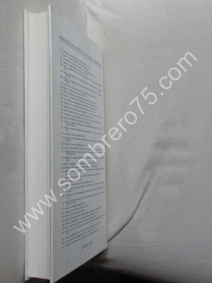 La Poétique des Ruines en France - Image 6