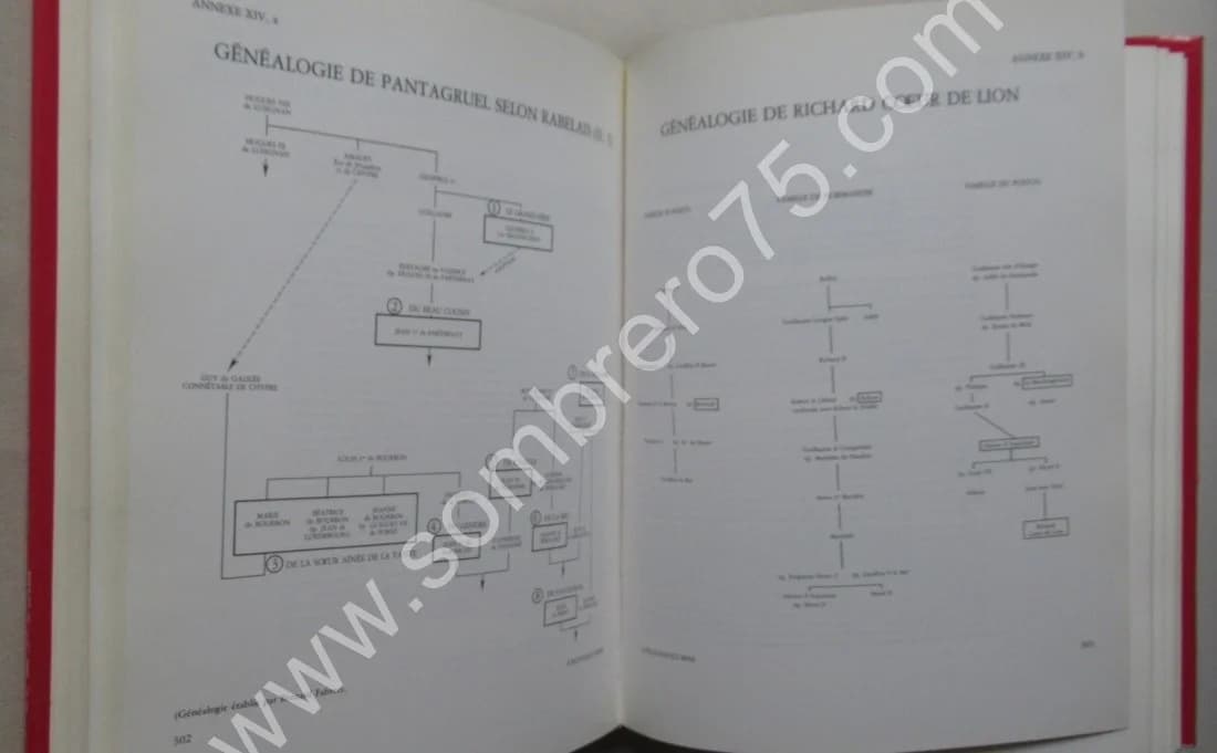 A Plus Hault Sens l'Esoterisme Spirituel et Charnel de Rabelais (2 vol.) - Image 10