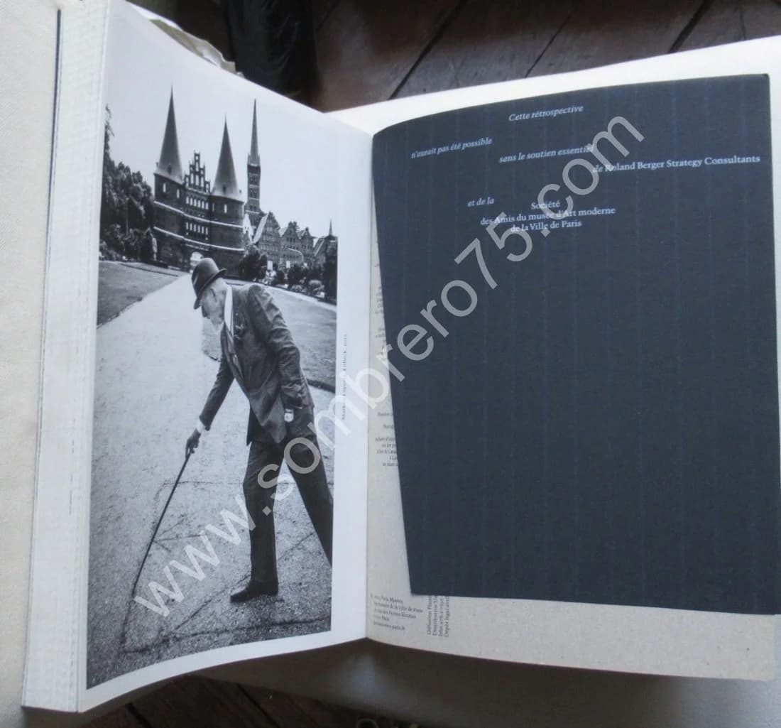 Markus Lüpertz - Une Rétrospective. Catalogue - Image 13