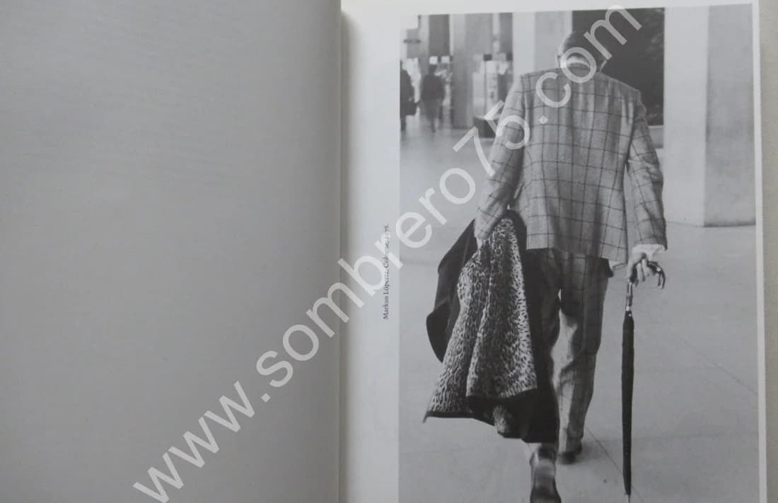 Markus Lüpertz - Une Rétrospective. Catalogue - Image 18