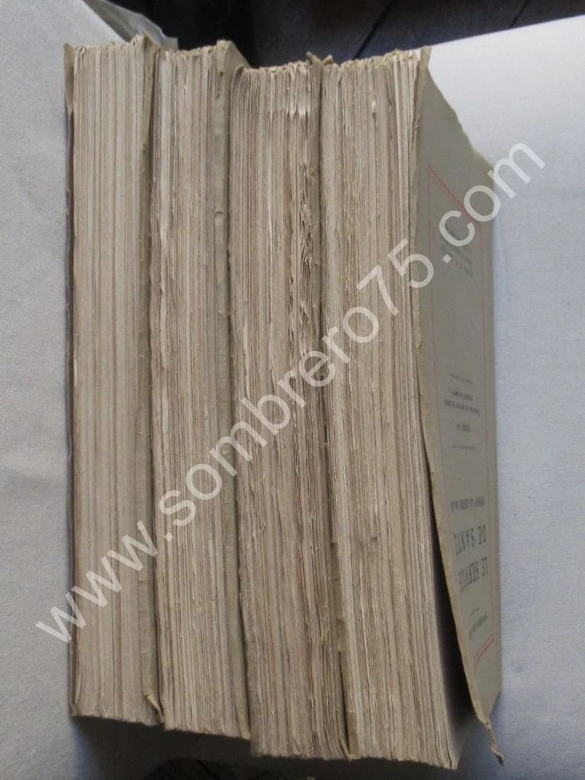 Le Service de Santé pendant la Guerre 1914-1918. 4 tomes. Gal MIGNON - Image 12