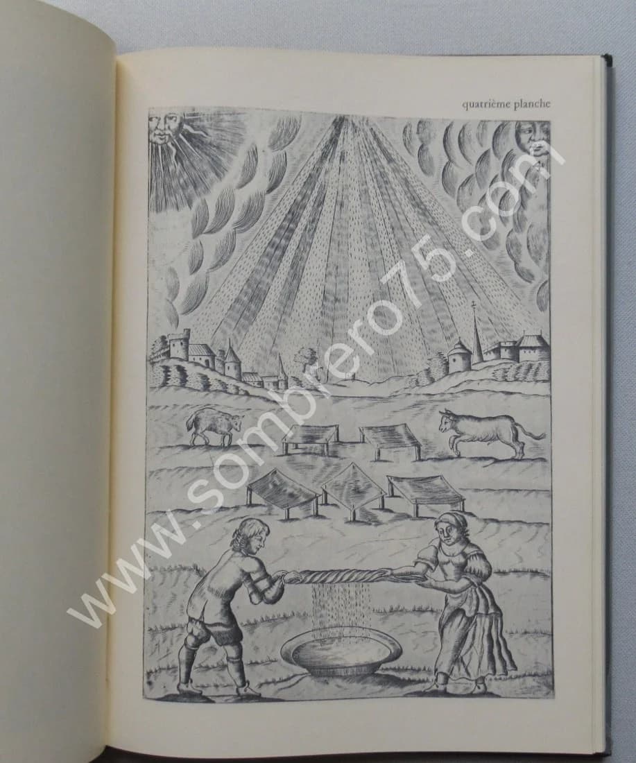 L'Alchimie et son Livre Muet - Mutus Liber - Image 7