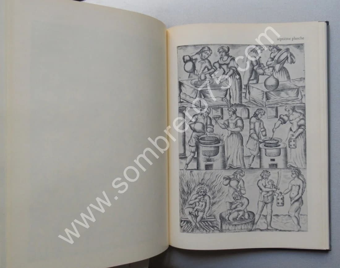 L'Alchimie et son Livre Muet - Mutus Liber - Image 8