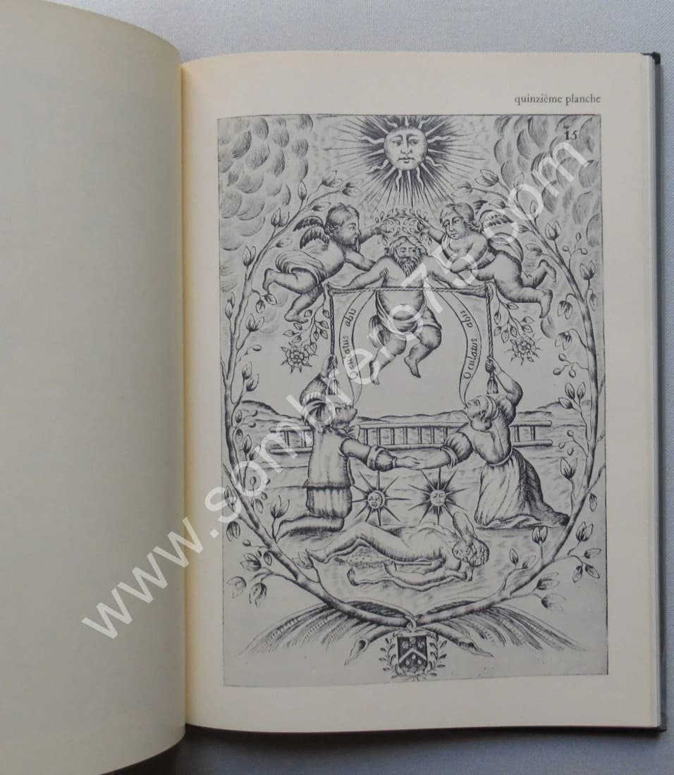 L'Alchimie et son Livre Muet - Mutus Liber - Image 9