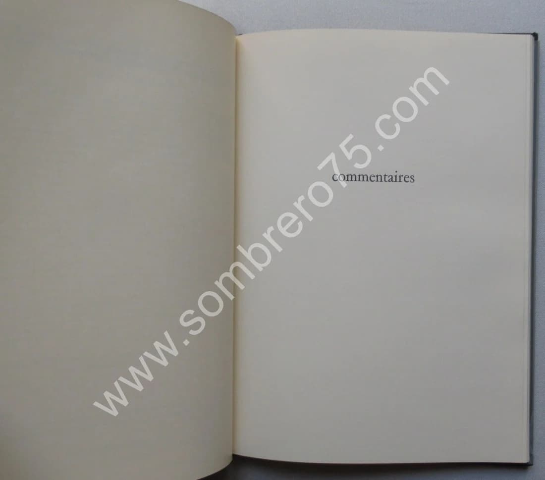 L'Alchimie et son Livre Muet - Mutus Liber - Image 10