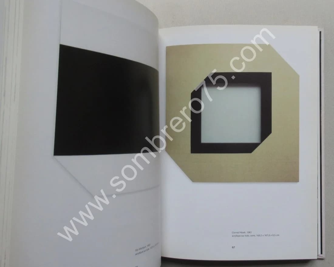 De BRUGEROLLE. Larry BELL. Carré d'Art - Musée d'art contemporain de Nîmes - Image 5