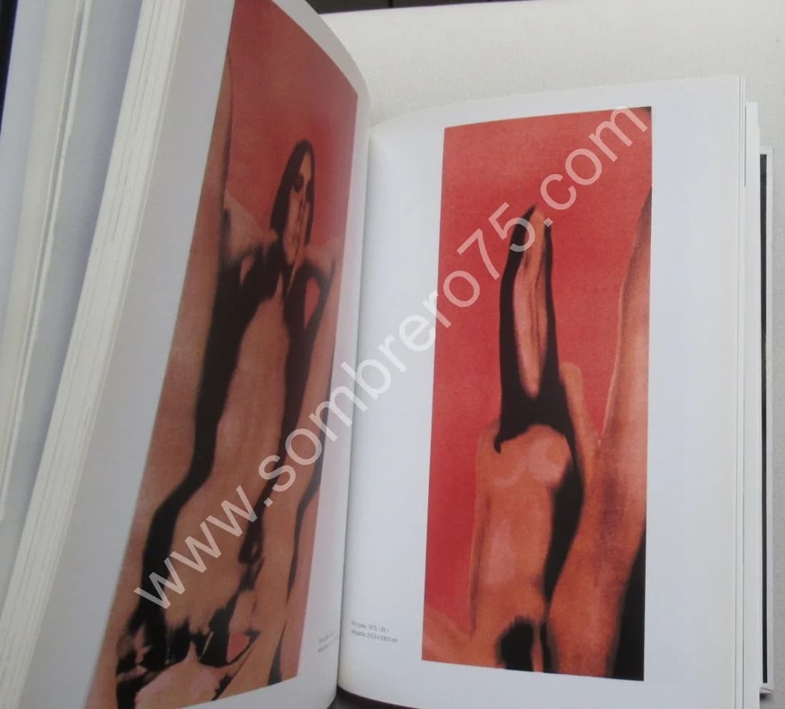 De BRUGEROLLE. Larry BELL. Carré d'Art - Musée d'art contemporain de Nîmes - Image 8