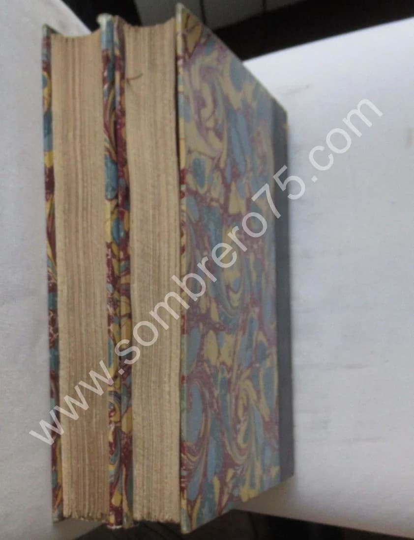 Une Page sur Vichy et ses Environs. 2 Vol. 1895 et 1899. G DECORET - Image 18