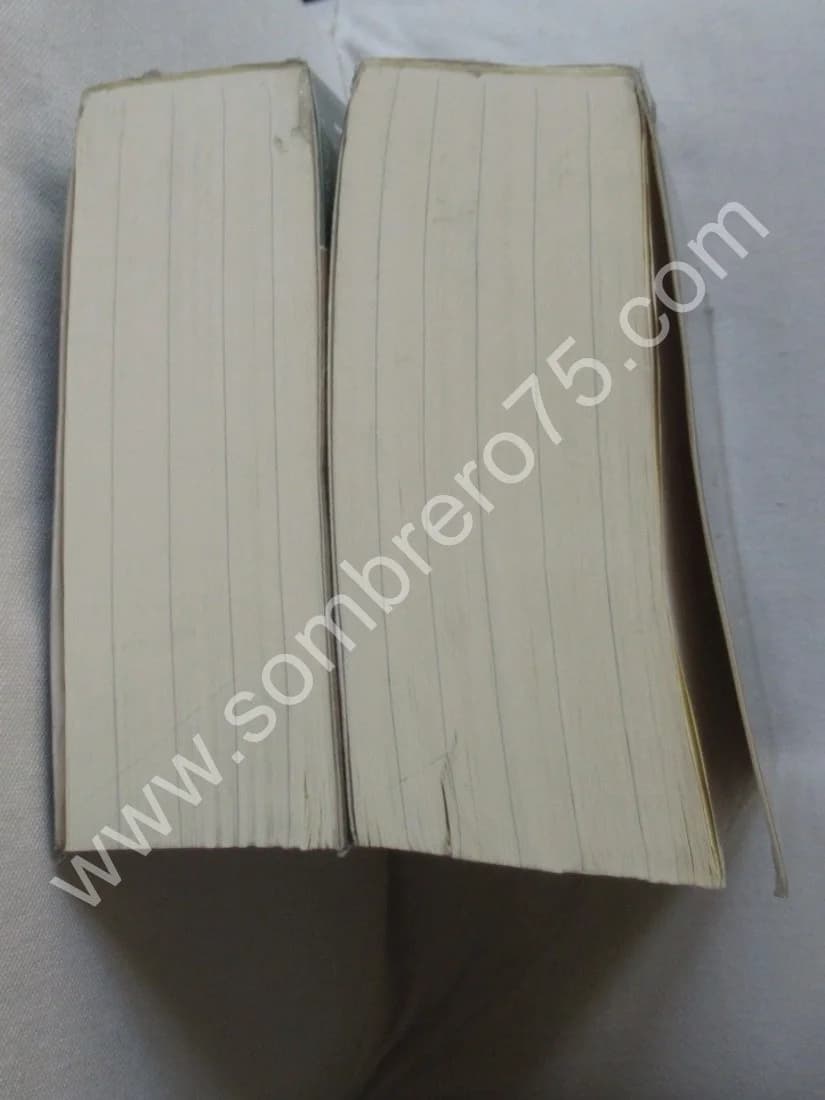 Les Vies des Meilleurs Peintres, Sculpteurs et Architectes - Image 12