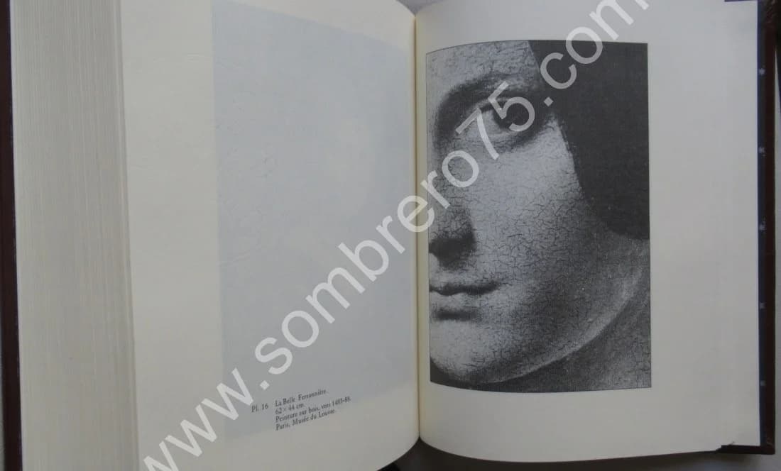 Le Traité de la Peinture de Léonard de Vinci.. 1982 - Image 12