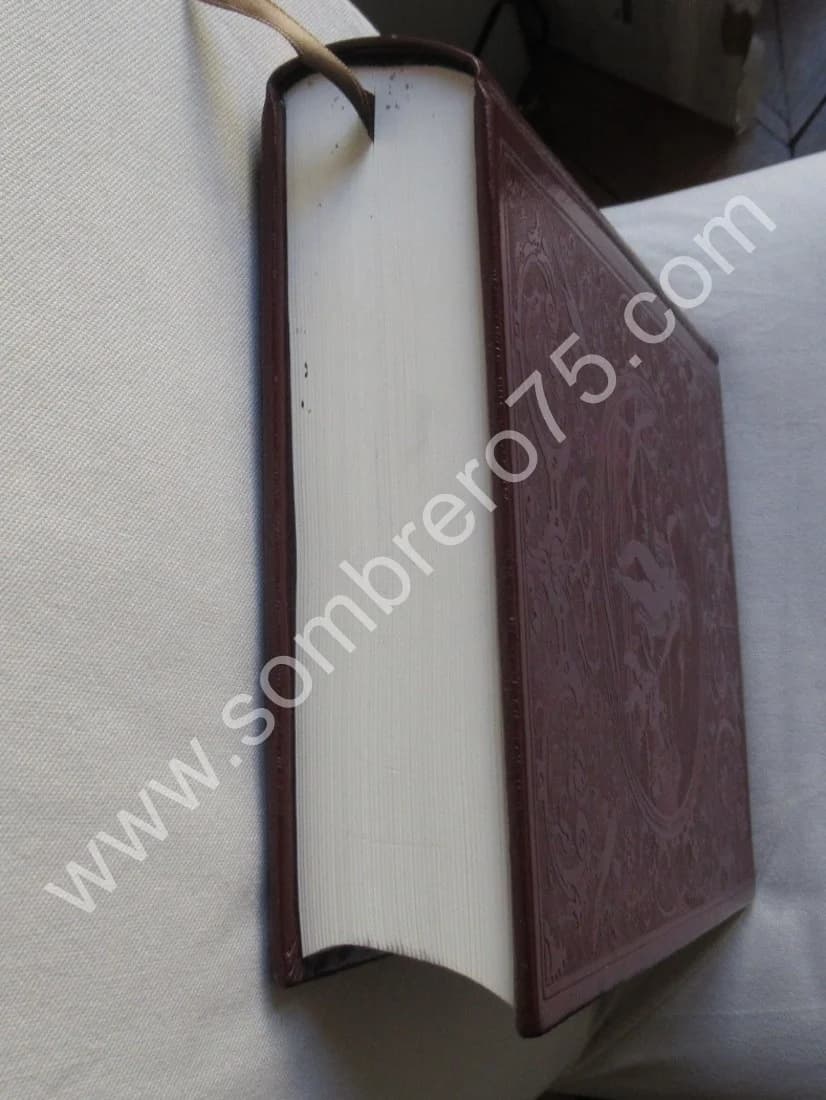 Le Traité de la Peinture de Léonard de Vinci.. 1982 - Image 14