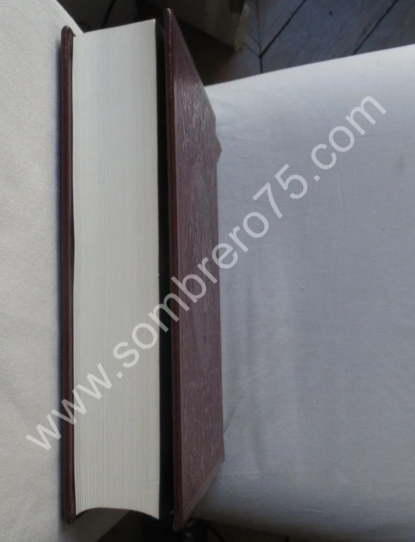 Le Traité de la Peinture de Léonard de Vinci.. 1982 - Image 15