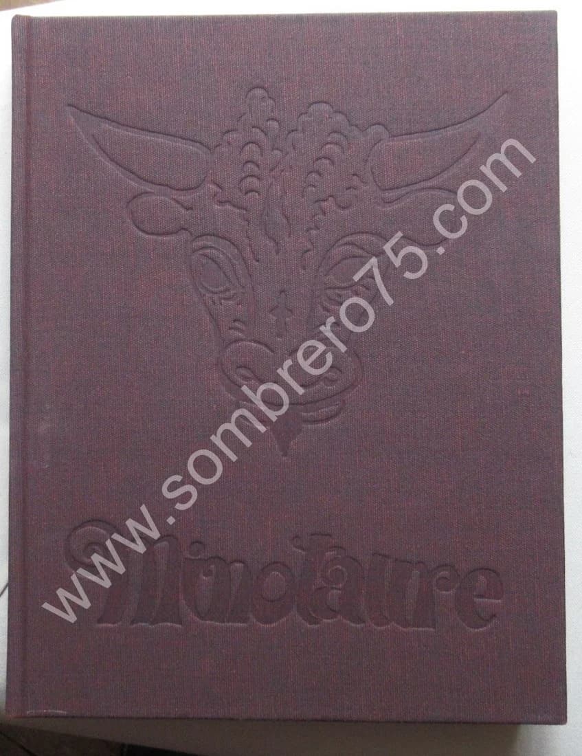 Revue Minotaure. - Réédition en Fac-Similé 1933 - Image 4