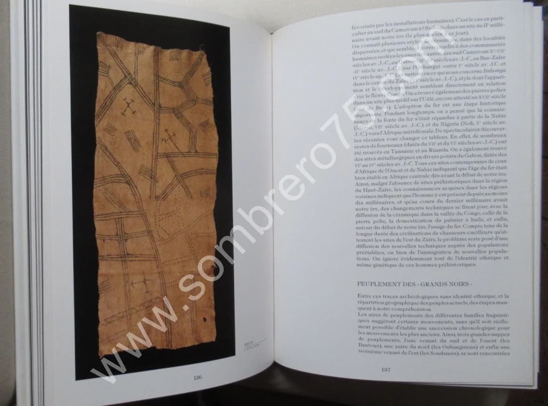 Pygmées? Farris Thompson & Bahuchet. Musée - Image 11