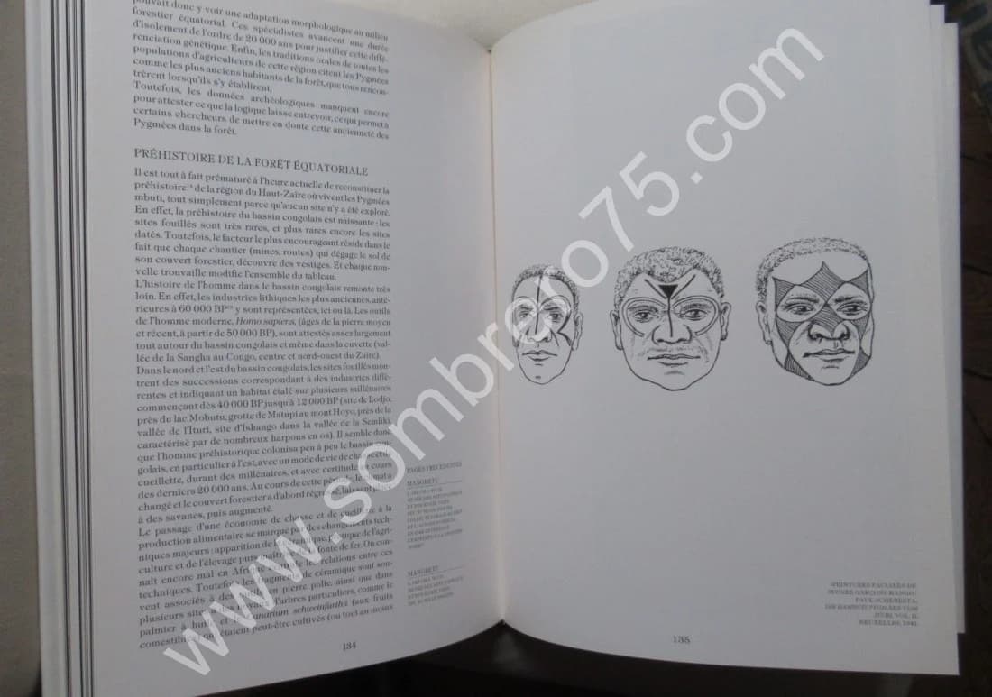 Pygmées? Farris Thompson & Bahuchet. Musée - Image 12