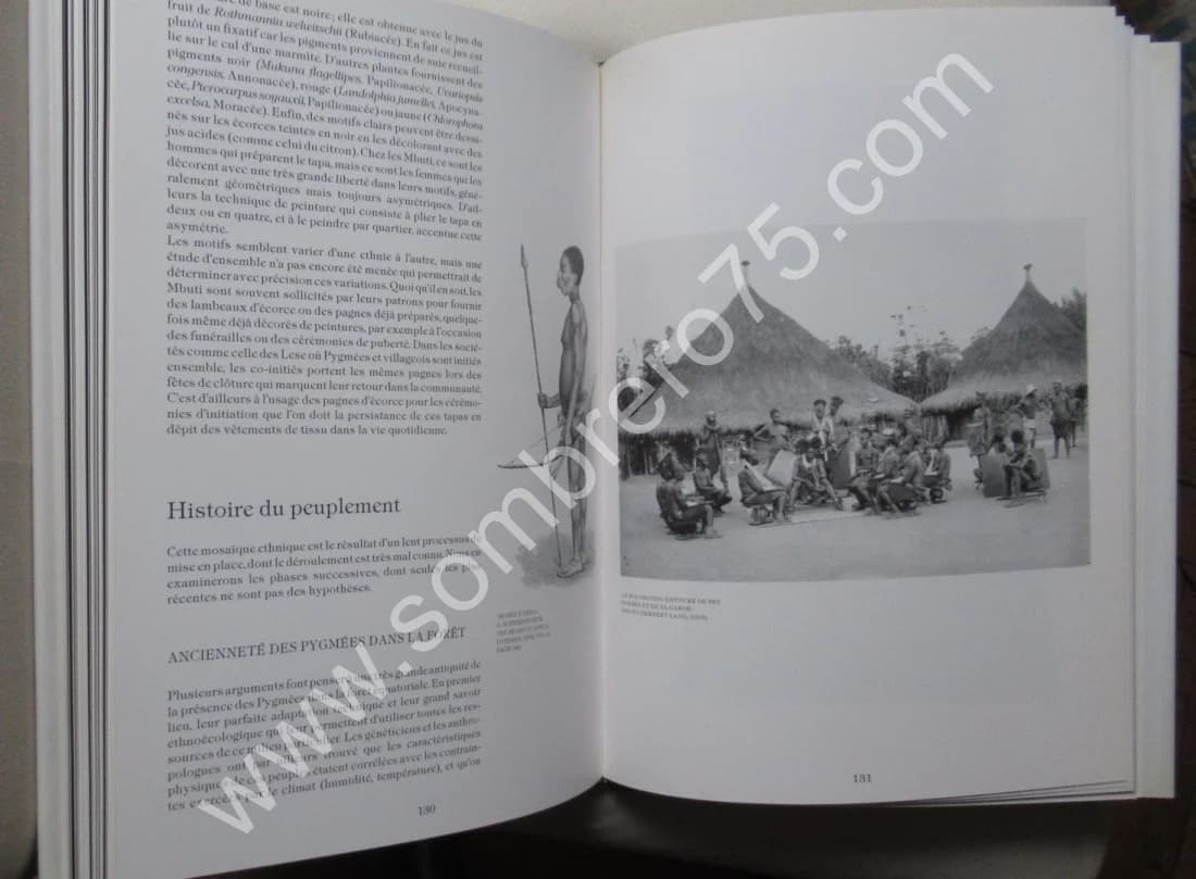 Pygmées? Farris Thompson & Bahuchet. Musée - Image 13
