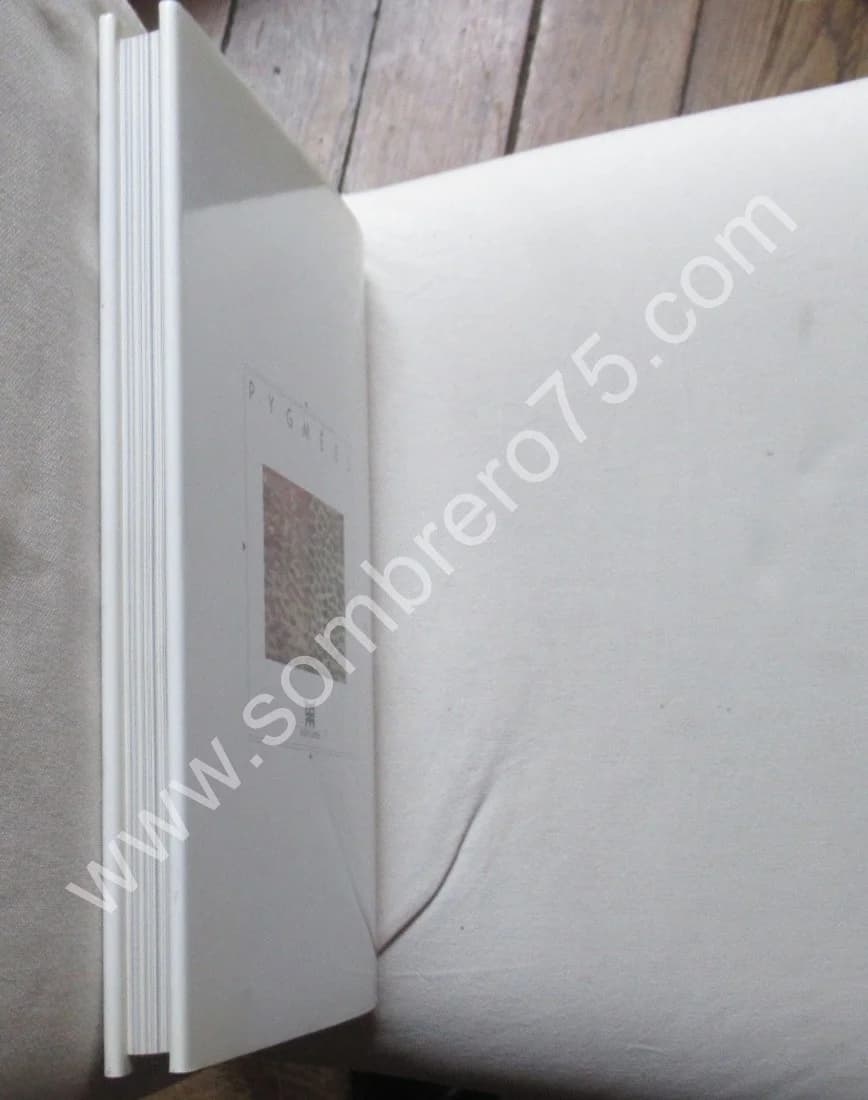 Pygmées? Farris Thompson & Bahuchet. Musée - Image 15