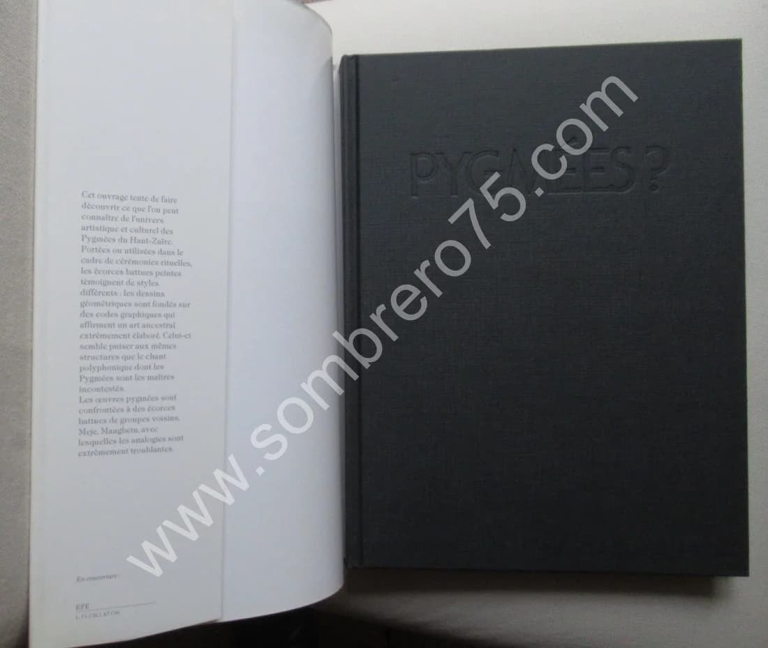 Pygmées? Farris Thompson & Bahuchet. Musée - Image 3