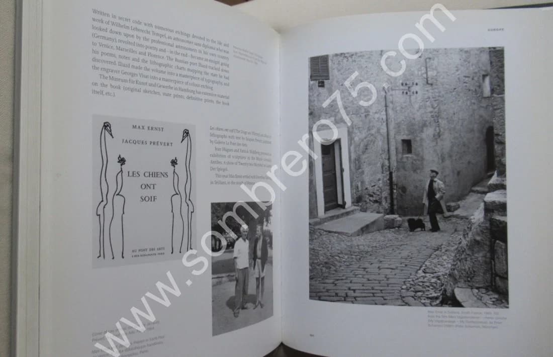 Max Ernst Life and Work.. 2005 - Image 9