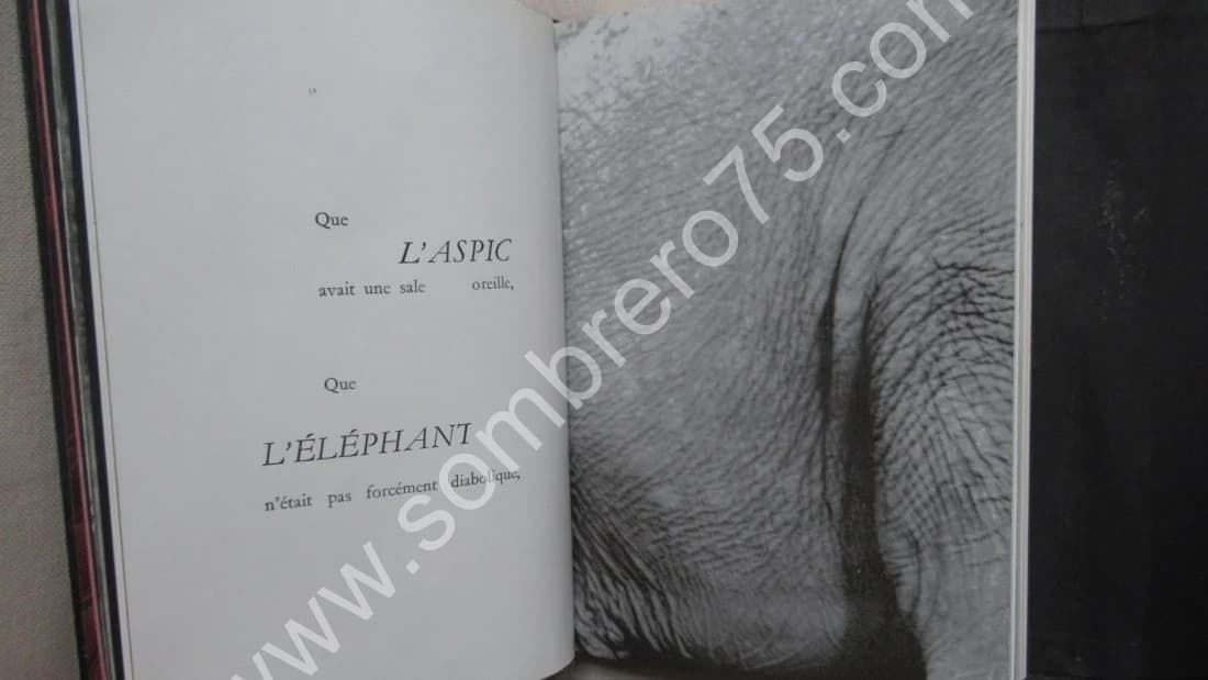 Le Diable. Denis Grivot.. 1960 - Image 8