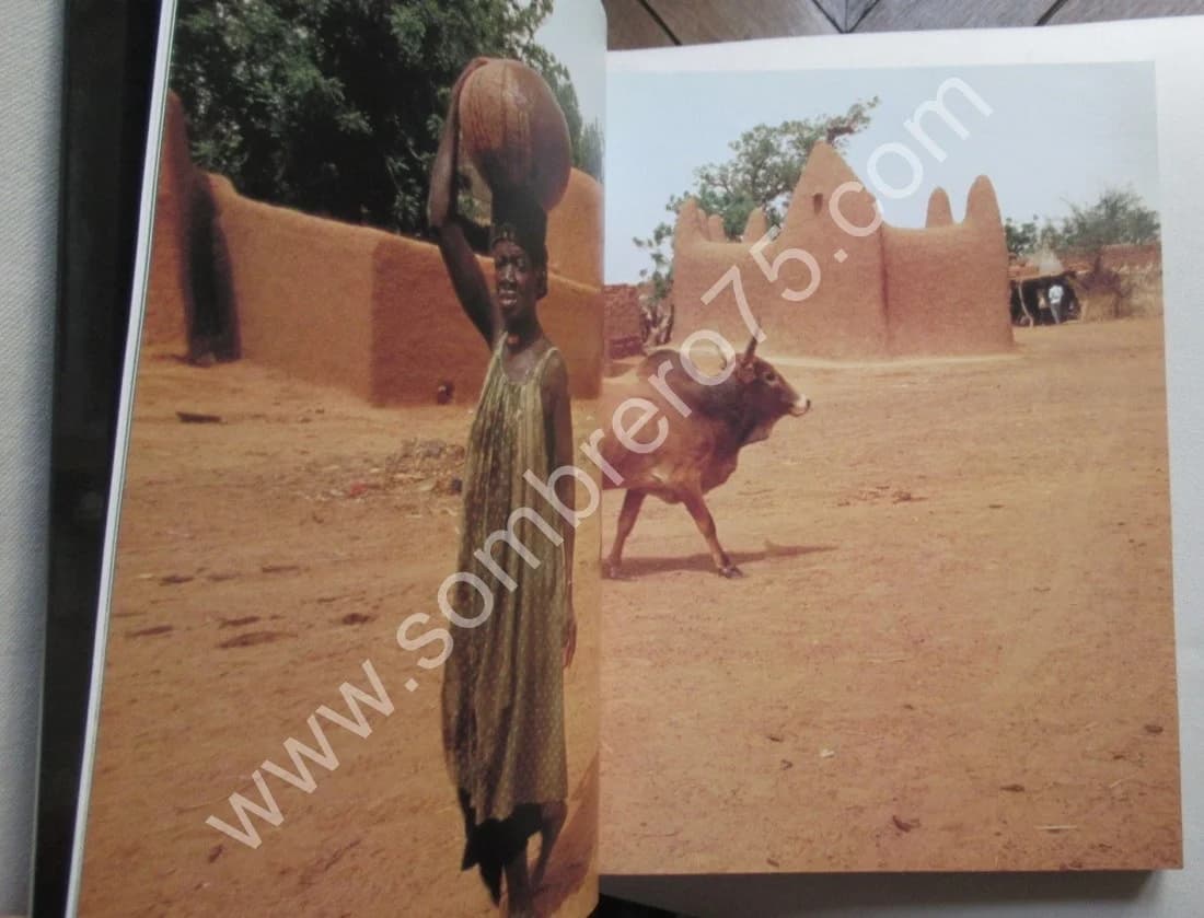 Réceptacles - Musée - Image 5