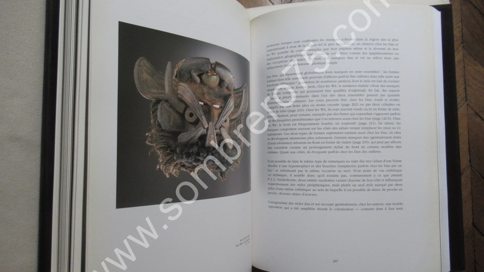 Masques. Leo Frobenius. Musée. 1995 - Image 11