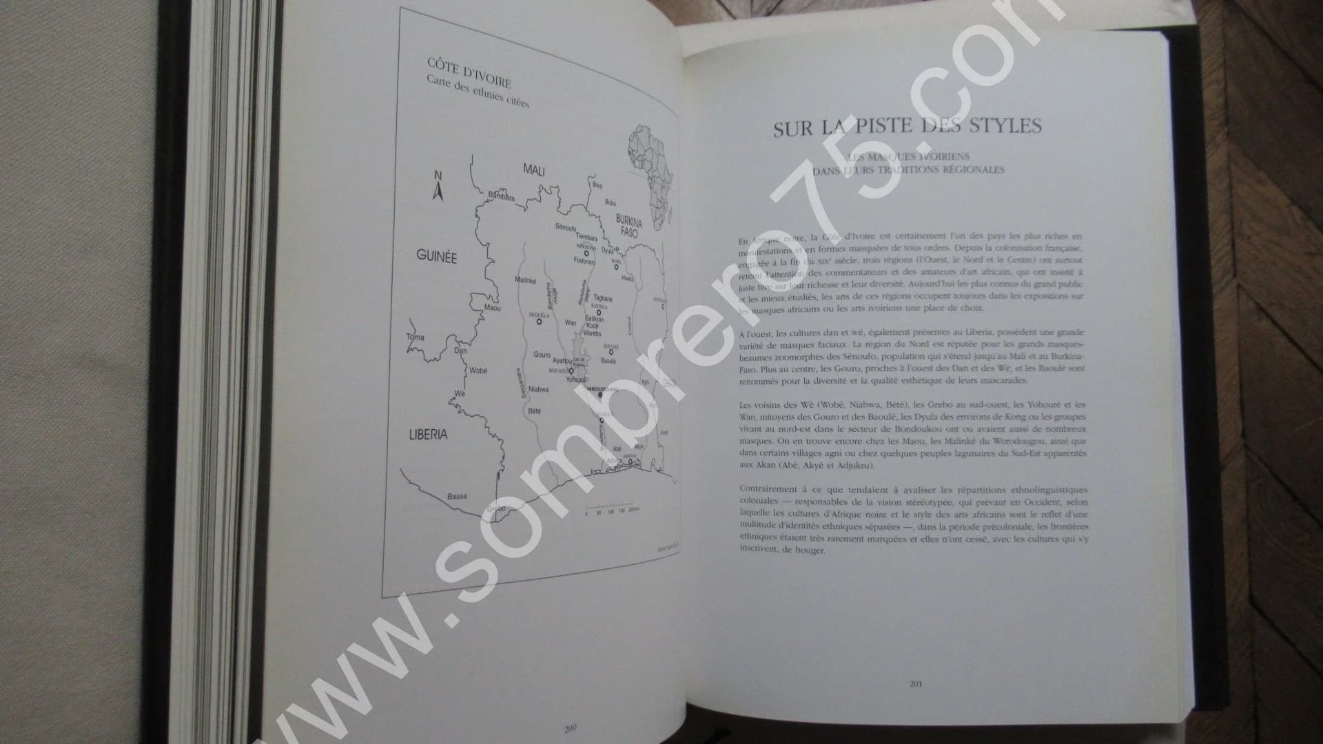 Masques. Leo Frobenius. Musée. 1995 - Image 7
