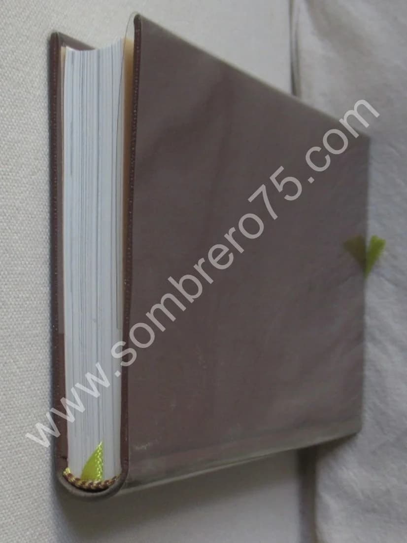 Album Nerval -. 32e Album - Image 5