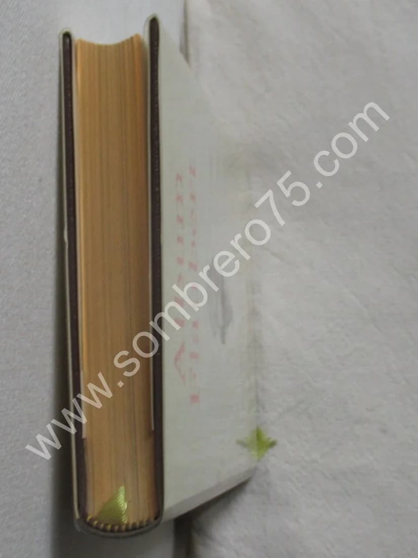 Album Flaubert -. 11e - Image 6