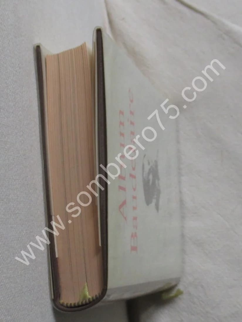 Album Baudelaire -. 13e Album - Image 5