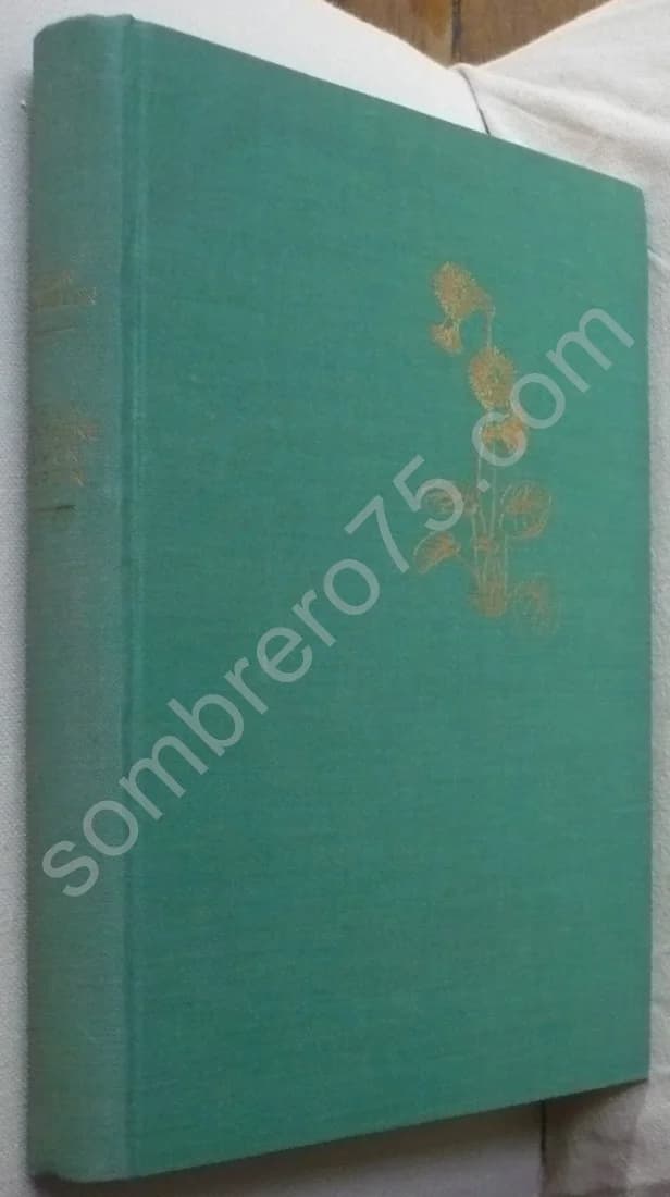 De la Montagne à Mon Jardin