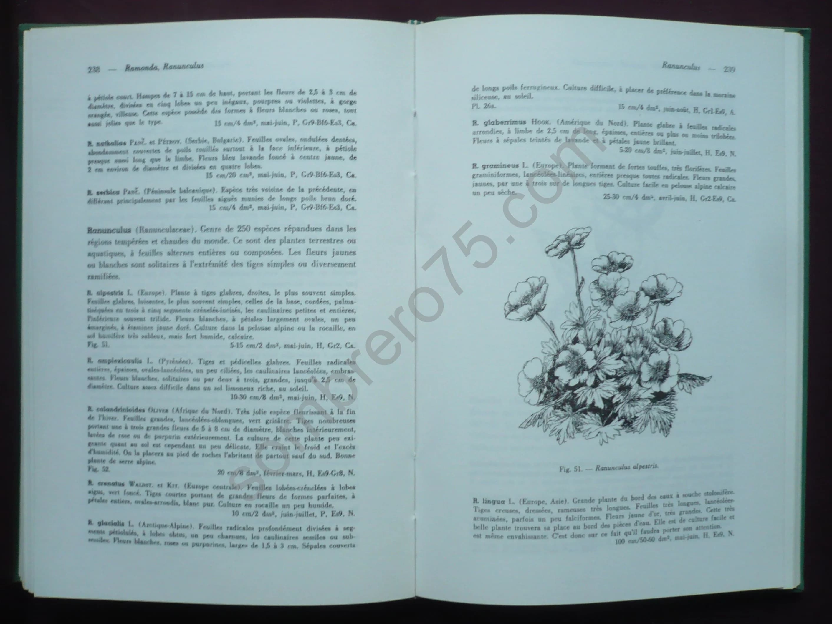 De la Montagne à Mon Jardin - Image 3