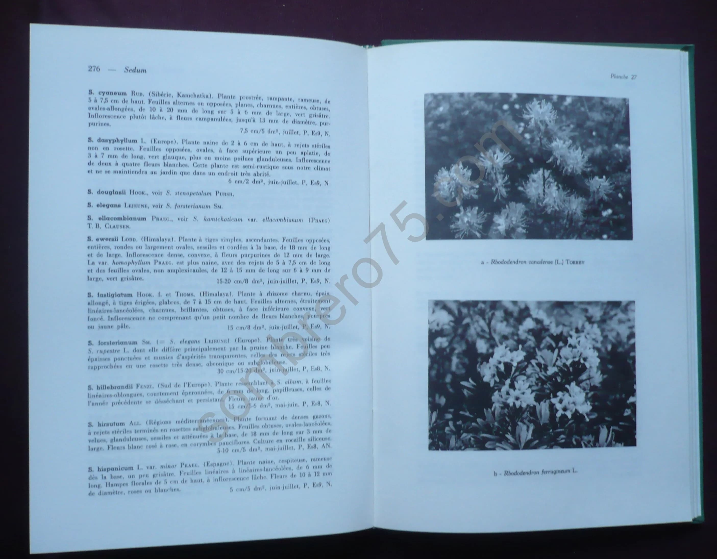 De la Montagne à Mon Jardin - Image 4