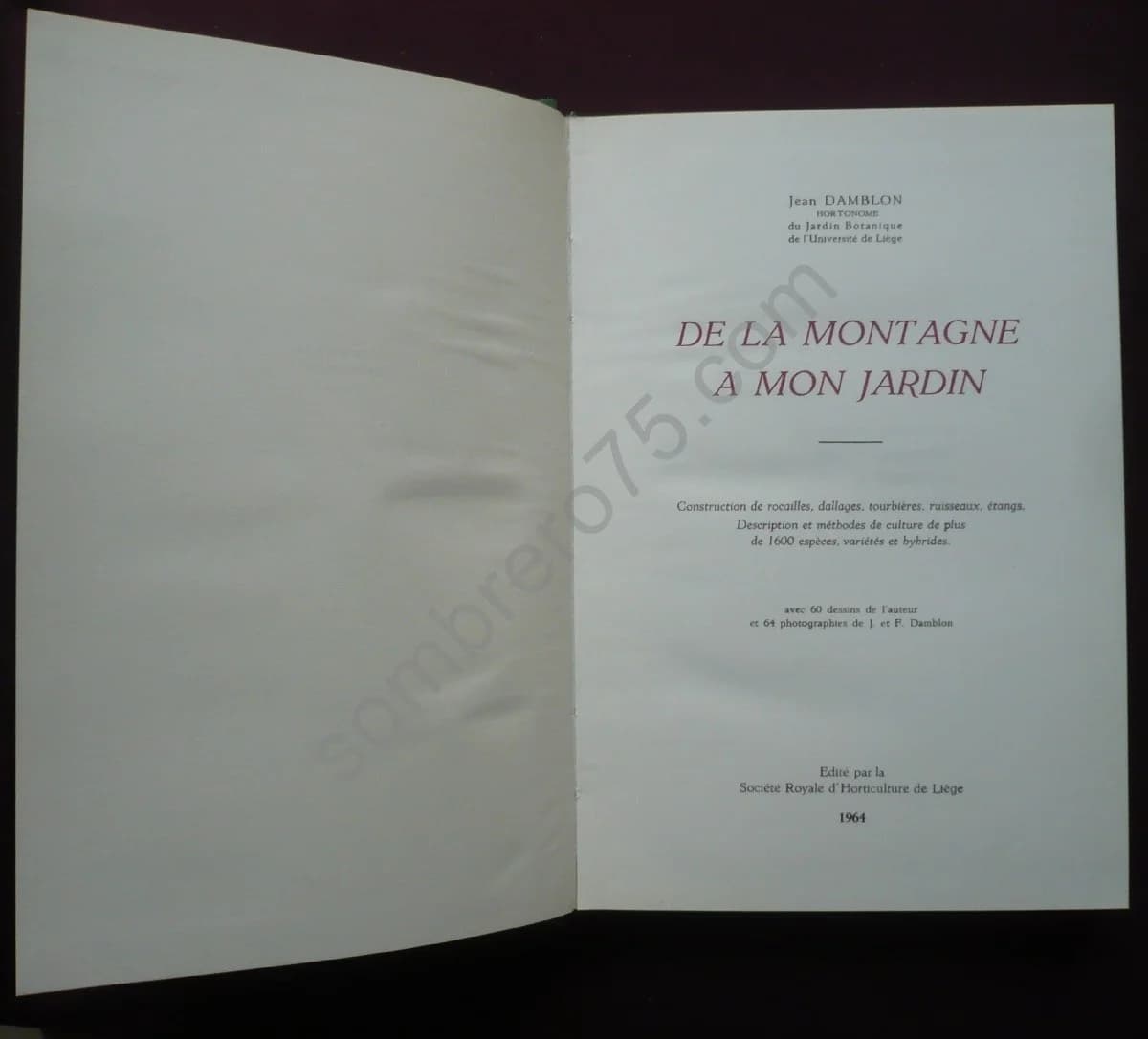 De la Montagne à Mon Jardin - Image 6